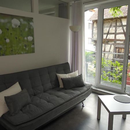 Amtorli Apartment Endingen am Kaiserstuhl Екстериор снимка