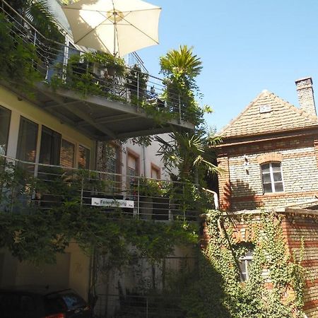 Amtorli Apartment Endingen am Kaiserstuhl Екстериор снимка