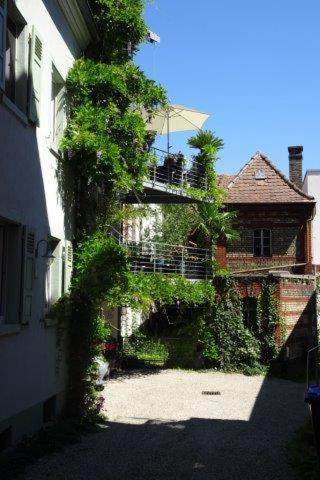 Amtorli Apartment Endingen am Kaiserstuhl Екстериор снимка