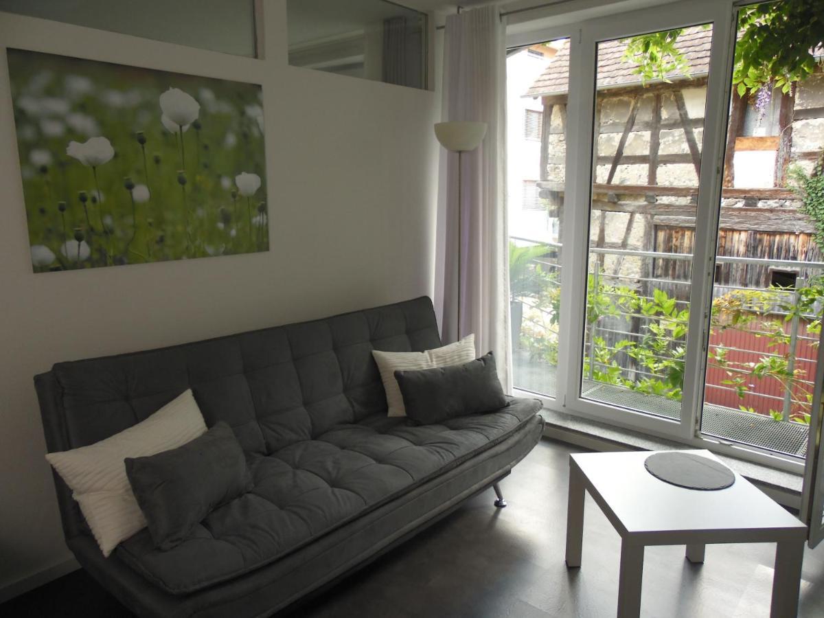 Amtorli Apartment Endingen am Kaiserstuhl Екстериор снимка