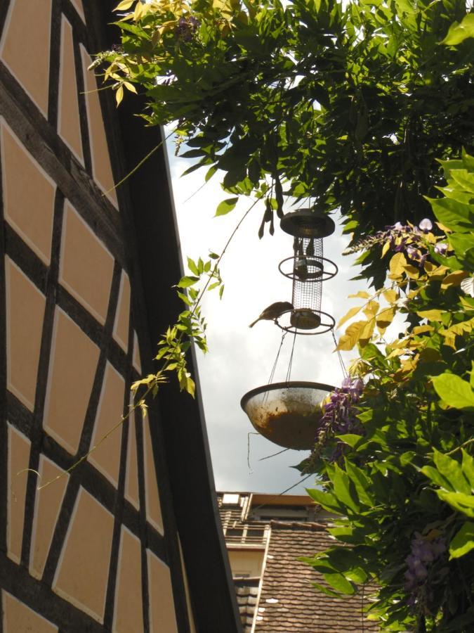 Amtorli Apartment Endingen am Kaiserstuhl Екстериор снимка