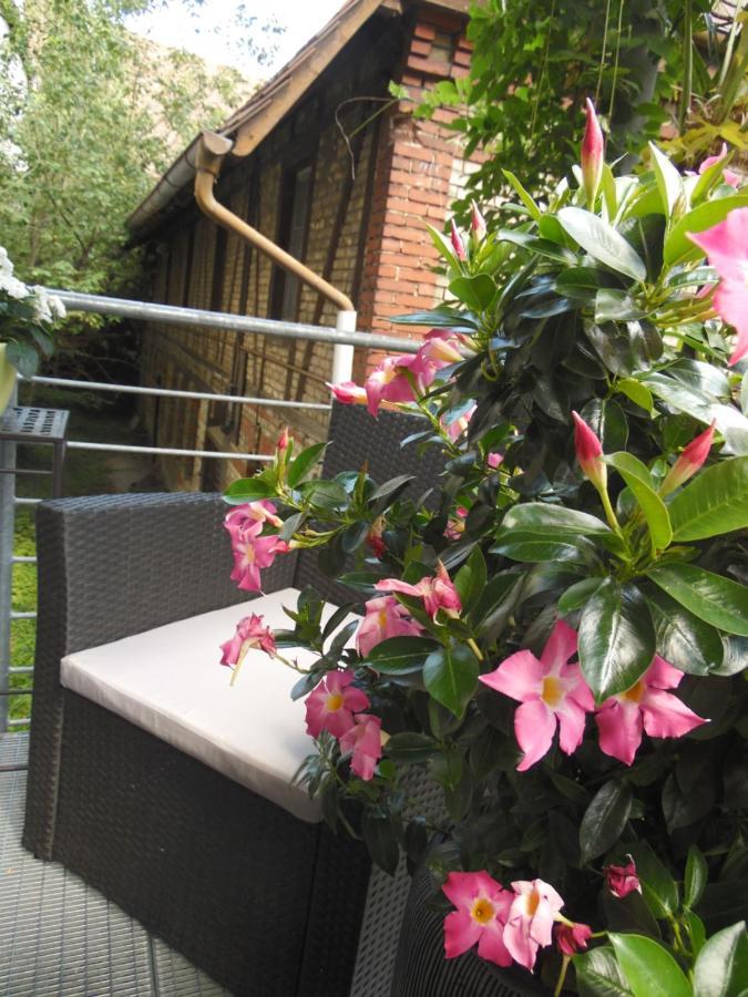 Amtorli Apartment Endingen am Kaiserstuhl Екстериор снимка