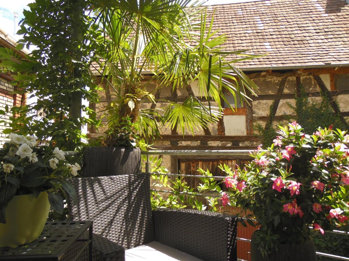 Amtorli Apartment Endingen am Kaiserstuhl Екстериор снимка